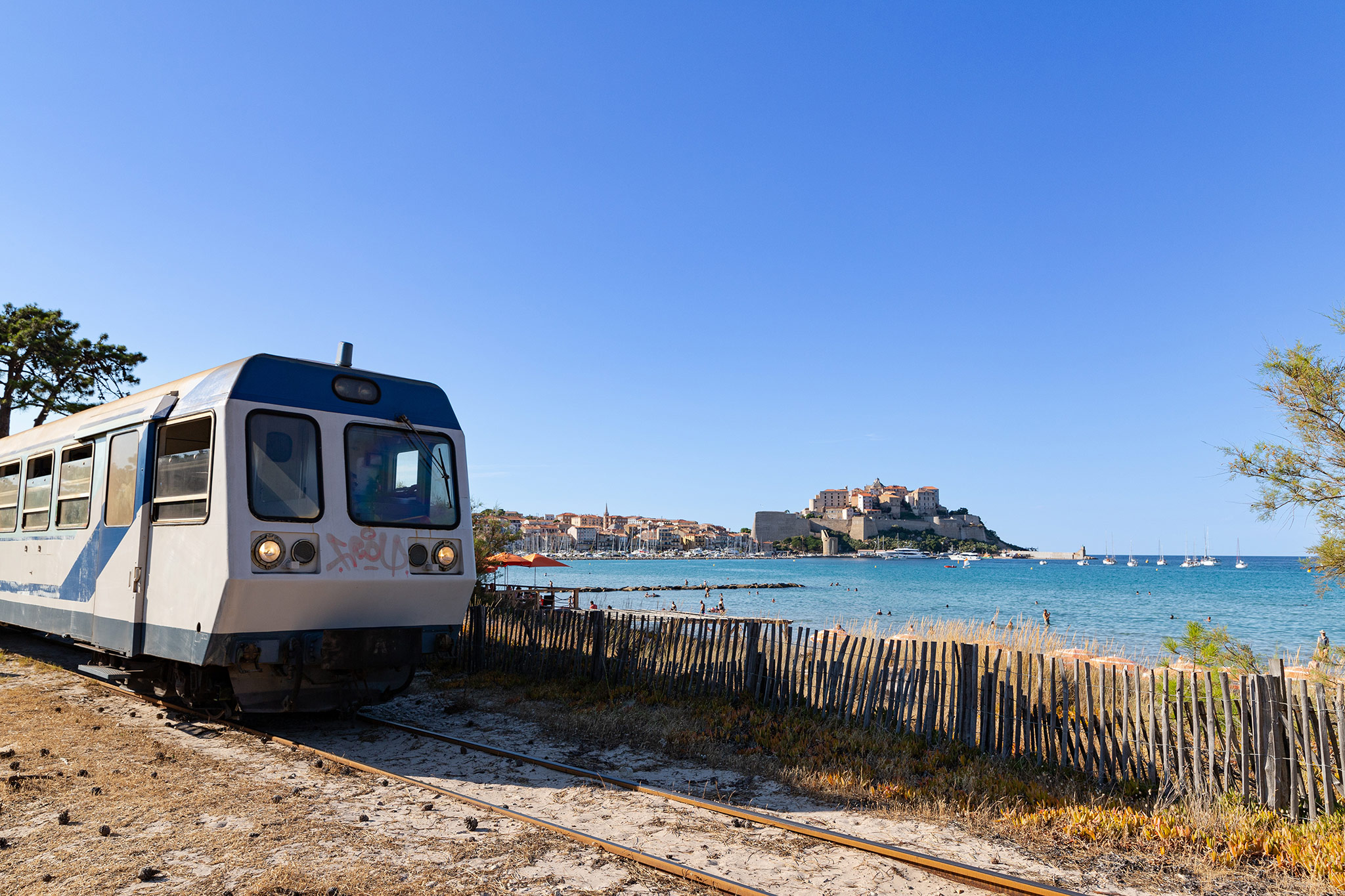 Calvi